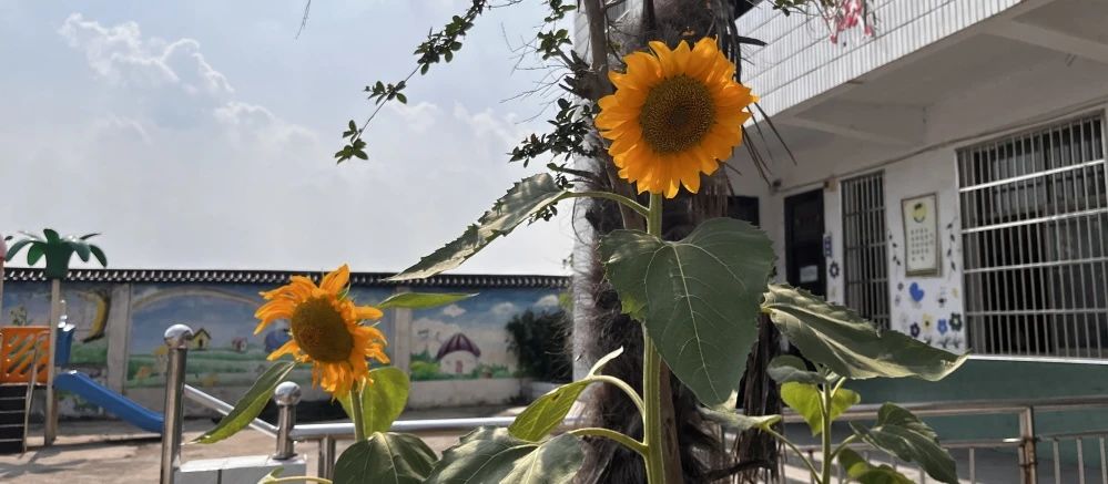 1692341820867167.jpg 1692341820867167.jpg