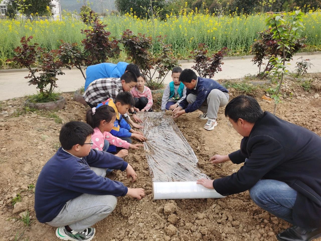 1692348485221148.jpg 1692348485221148.jpg